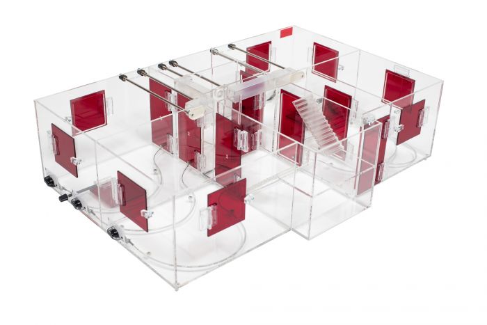 PPV Trainer Second Floor