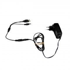 LION - GASTRAINER™ SHIP KIT - art 160811