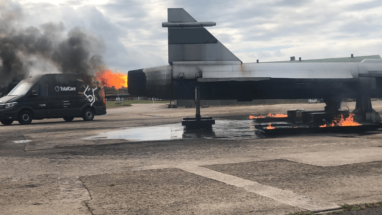 Lion protects fire training