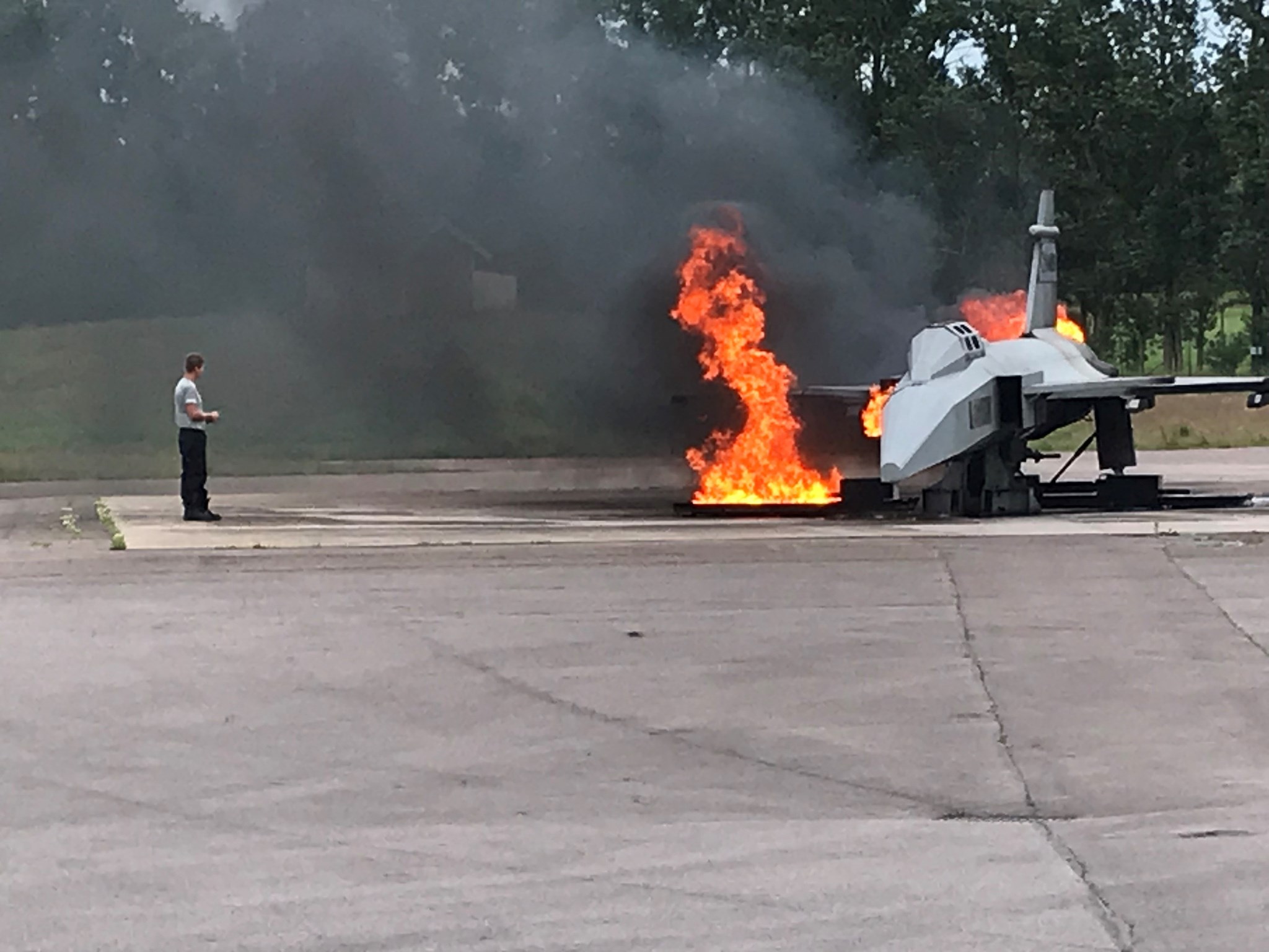 Lion protects fire training 